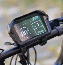 Bicicleta Eléctrica Fat Bike Youin Miami
