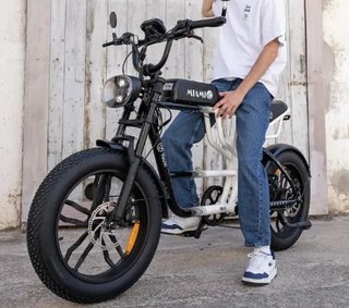 Bicicleta Eléctrica Fat Bike Youin Miami