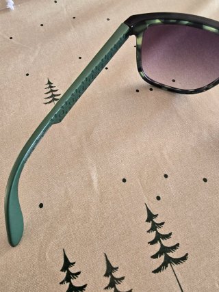 Gafas de sol Carrera Verdes