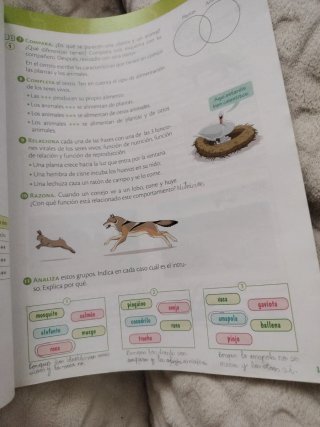 Ciencias de la naturaleza, 3 Primaria, Castilla...