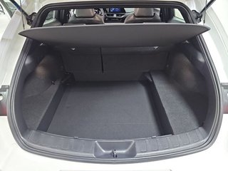 Lexus UX 2.0 300h UX Plus