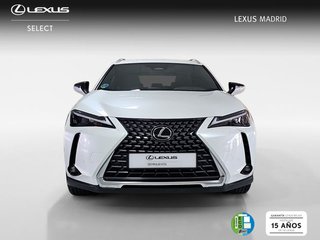 Lexus UX 2.0 300h UX Plus