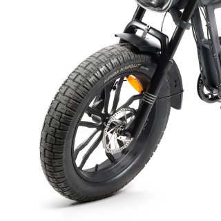 Bicicleta Eléctrica Fat Bike Youin Las Vegas