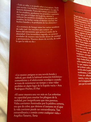 Míster Ángel del Río: Novela de los nombres
