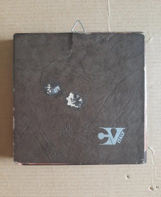 Riproduzioni su lastra di argento.