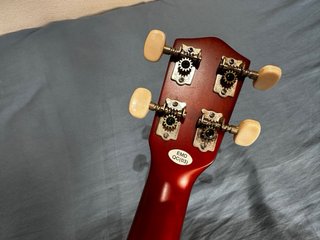 Ukelele Stagg US 10 Nuevo