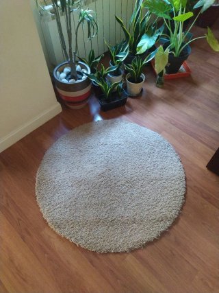 Alfombra redonda beige/gris