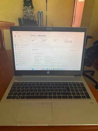 HP ProBook 455 G7 Argento