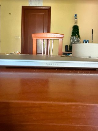 HP ProBook 455 G7 Argento