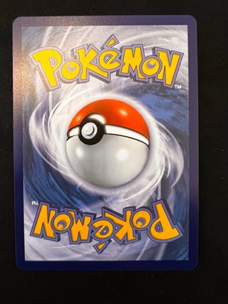 Trío Kanto Compañeros Pokémon