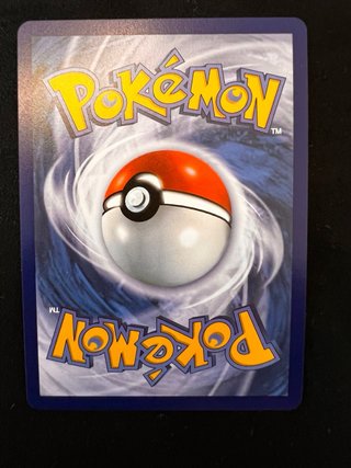 Trío Kanto Compañeros Pokémon