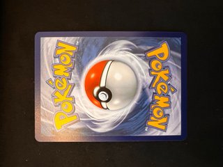 Trío Kanto: Charmander, Squirtle, Bulbasaur
