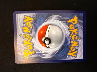 Trío Kanto: Charmander, Squirtle, Bulbasaur