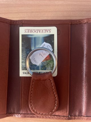Cartera SALVADORES Marrón Nueva