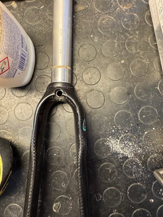 Forcella Bianchi Carbonio 1 1/8 stelo 19 cm