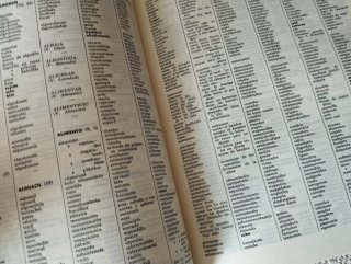 Diccionario ideológico de la lengua española