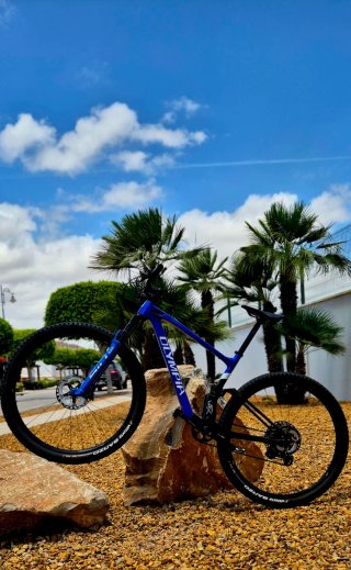 Mountain bike a sospensione completa 29" in carbonio