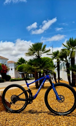 Mountain bike a sospensione completa 29" in carbonio