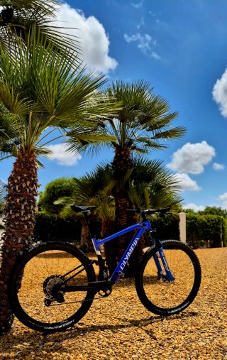Mountain bike a sospensione completa 29" in carbonio