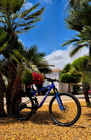 Mountain bike a sospensione completa 29" in carbonio