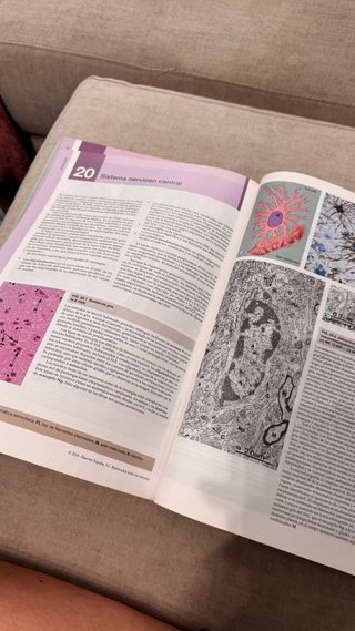 Wheater : histología funcional : texto y atlas ...