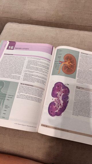 Wheater : histología funcional : texto y atlas ...