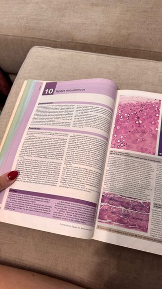 Wheater : histología funcional : texto y atlas ...