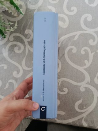Manuale del diritto privato