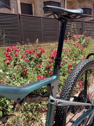 Orbea Oiz M10 AXS L