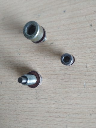 Tornillos aceite cárter derbi variant