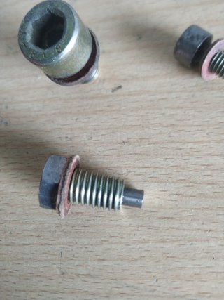 Tornillos aceite cárter derbi variant