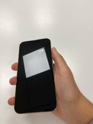 iPhone 13 Pro Dorado