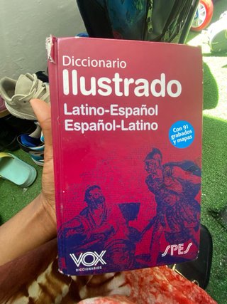 Diccionario Ilustrado Latín. Latino-Español/ Es...