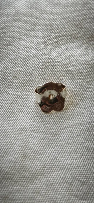 Pendientes Duna Tous Plata