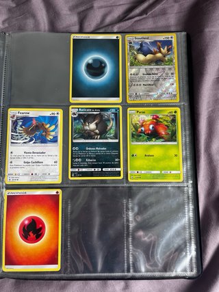 Álbum Pokémon TGC HeartGold & Soulsilver + Cartas