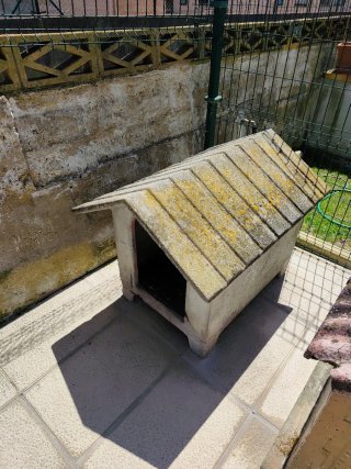 Casetas para perro