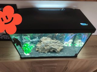 Pecera 95L con accesorios