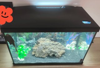 Pecera 95L con accesorios