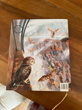 Libro Harry Potter y la Piedra Filosofal