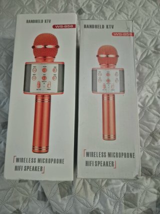 Pack 2 Micrófonos Karaoke WS-858