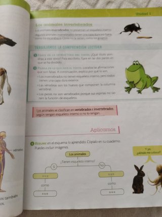 Ciencias de la naturaleza, 4 Primaria, Castilla...