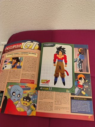 Lote revista oficial Dragon Ball GT