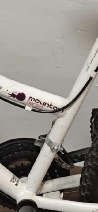 Bicicleta montaña morada y blanca