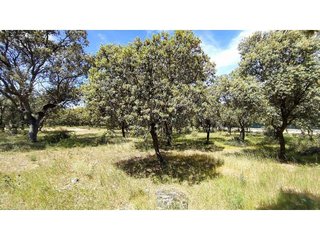 Terreno en venta en Raya del Palancar - Guadamonte en Villanueva de la Cañada