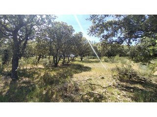 Terreno en venta en Raya del Palancar - Guadamonte en Villanueva de la Cañada