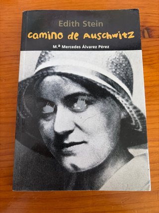 Camino de Auschwitz Edith Stein