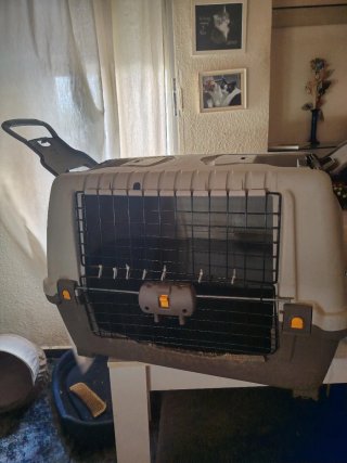 Transportín grande para mascotas
