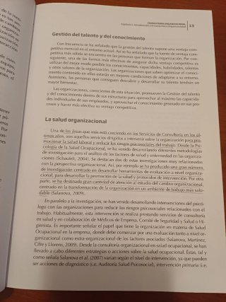 Consultoria Organizacional