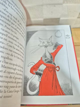 Ottolina i la Gata Groga