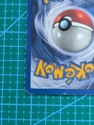 Pikachu Black Star Promo